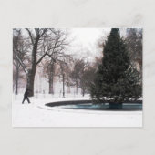 Madison Square Park Winter 2005 Briefkaart (Voorkant)