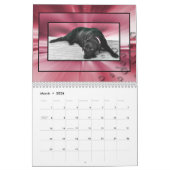 Madison the Black Labrador Kalender (Mar 2026)