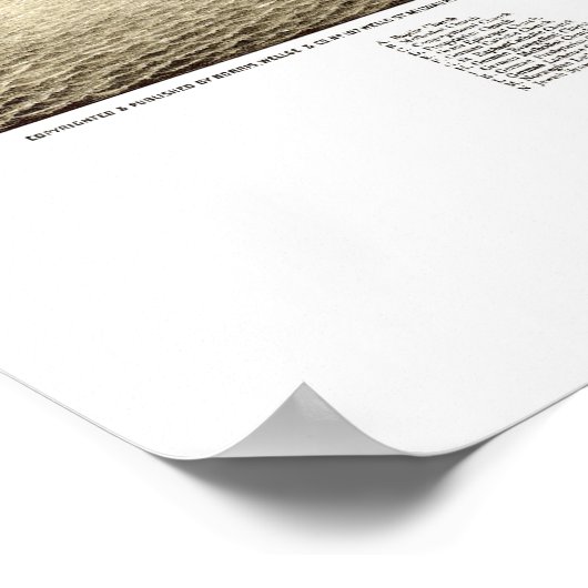 Madison, WI Panoramic Map - 1885b Poster (Hoek)