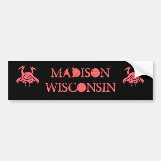 MADISON WISCONSIN EN PINK FLAMINGOS BUMPERSTICKERS (Voorkant)