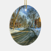 Madison, Wisconsin Kaas Hoofd Kerst Keepsake Keramisch Ornament (Rechts)