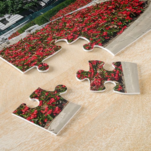 Madison Wisconsin Legpuzzel (Zijkant)