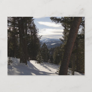 Madisongebergte in de winter in Montana Briefkaart
