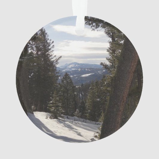 Madisongebergte in de winter in Montana Ornament (achterkant)
