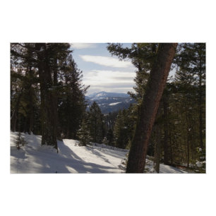 Madisongebergte in de winter in Montana Perfect Poster