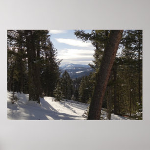 Madisongebergte in de winter in Montana Poster