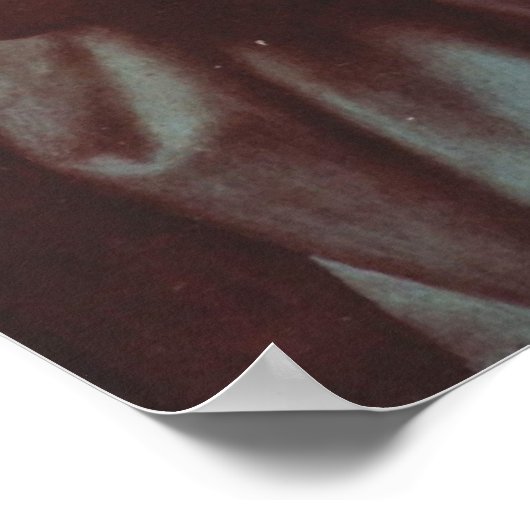 Madonna Del Granduca door Raphael Poster (Hoek)