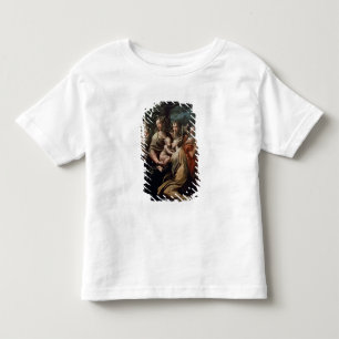 Madonna en Child with Saints, c.1529 (olie op deel Kinder Shirts