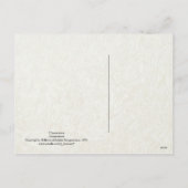 Madonna en Kerstmis Feestdagenkaart (Achterkant)