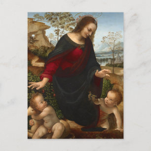 Madonna en Kind door Leonardo da Vinci Ansichtkaar Briefkaart