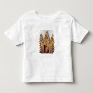 Madonna en kind met SS. Nicholas en Proculus, Kinder Shirts