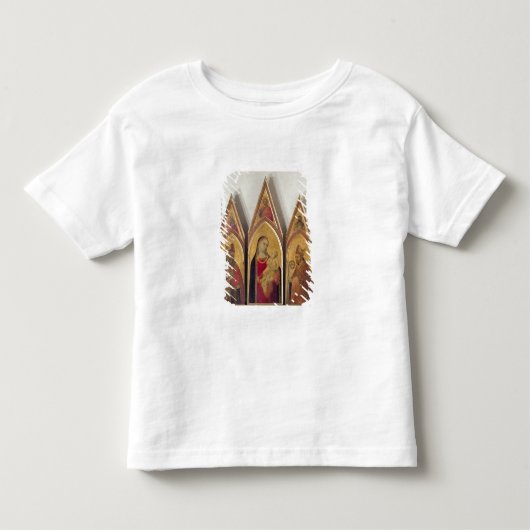 Madonna en kind met SS. Nicholas en Proculus, Kinder Shirts (Voorkant)