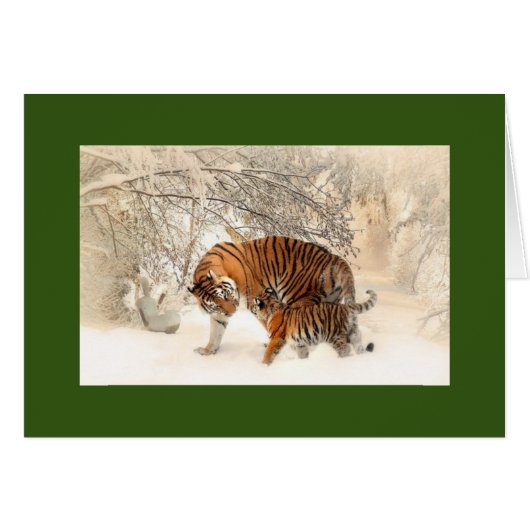 MADONNA- EN KUSTTIGERS IN HET SNEEUWWENSKAART (Voorkant Horizontaal)