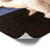 Madonna Esterhazy - Raphael - c1508 Poster (Hoek)