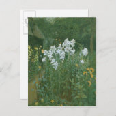 Madonna Lilies in een tuin Briefkaart (Voorkant / Achterkant)