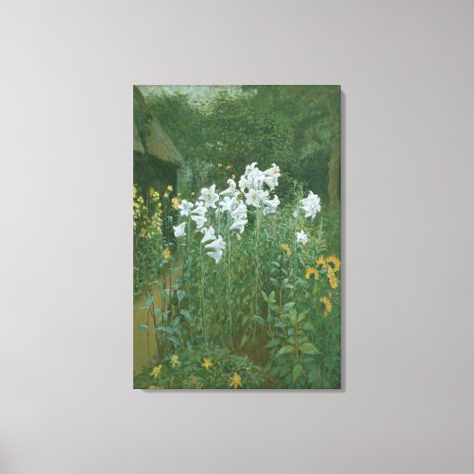 Madonna Lilies in een tuin Canvas Afdruk (Voorkant)