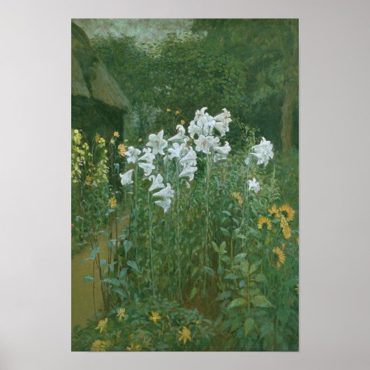 Madonna Lilies in een tuin Poster (Voorkant)