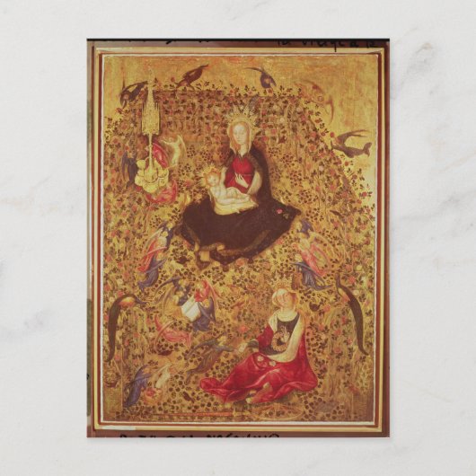 Madonna met een Roos Struik Briefkaart (Voorkant)