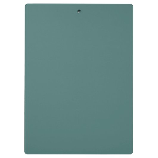 Madonna of the streets - Roberto Ferruzzi Klembord (Achterkant)