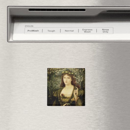 Madonna Pietra degli Scrovigni Magneet (Insitu (Vaatwasser))