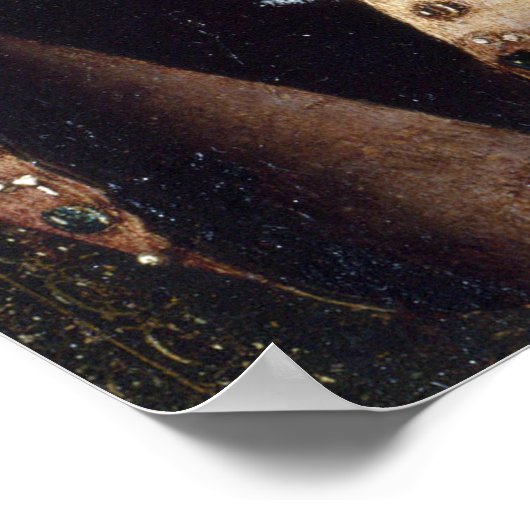 Madonna Salting – Antonello da Messina Poster (Hoek)