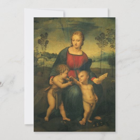 Madonna van de distelvink van Rafaël Sanzio (Voorkant)