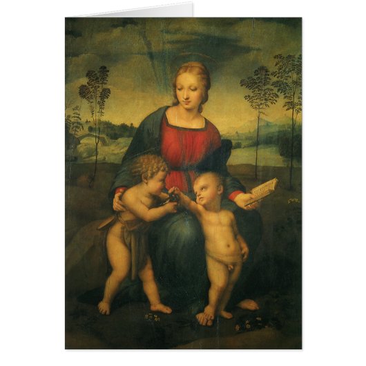 Madonna van de distelvink van Rafaël Sanzio (Voorkant)