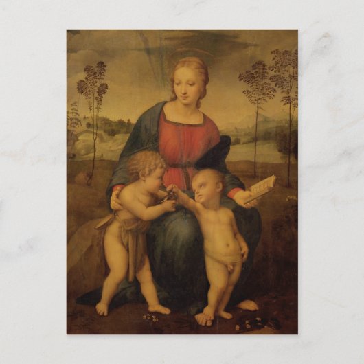 Madonna van de Goldfinch, c.1506 Briefkaart (Voorkant)