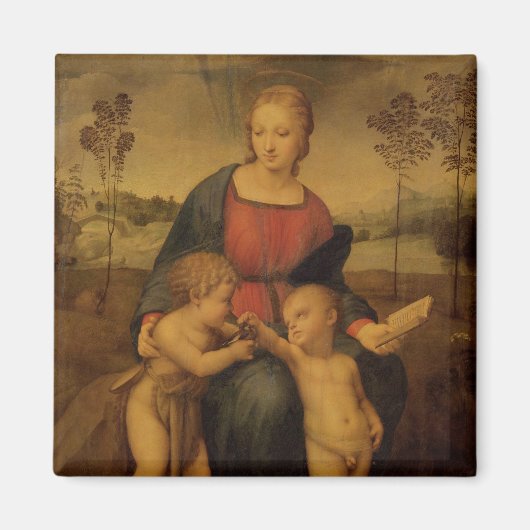 Madonna van de Goldfinch, c.1506 Magneet (Voorkant)