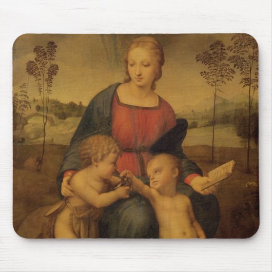 Madonna van de Goldfinch, c.1506 Muismat (Voorkant)