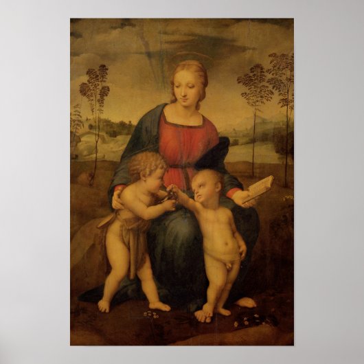 Madonna van de Goldfinch, c.1506 Poster (Voorkant)