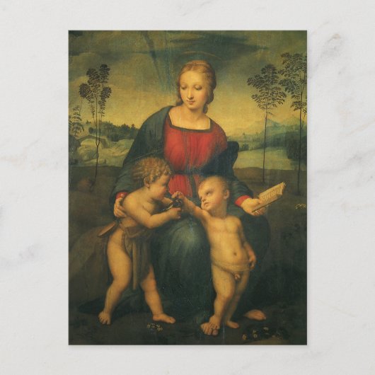 Madonna van de Goldfinch door Raphael Sanzio Briefkaart (Voorkant)