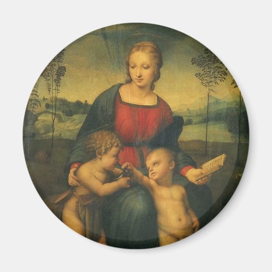 Madonna van de Goldfinch door Raphael Sanzio Magneet (Voorkant)