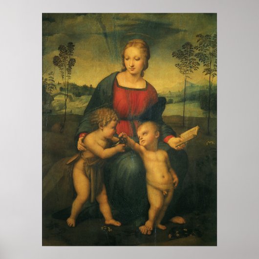 Madonna van de Goldfinch door Raphael Sanzio Poster (Voorkant)