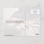 Madonna van het boek van Sandro Botticelli Briefkaart (Achterkant)