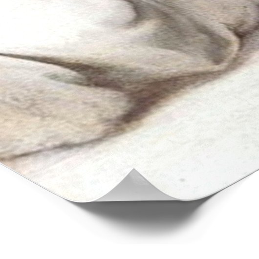 Madonna van Loreto - Raphael - c1511 Poster (Hoek)