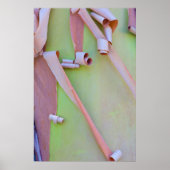 Madrone Tree Bark Abstract Poster (Voorkant)