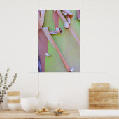 Madrone Tree Bark Abstract Poster (Keuken)