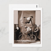 Mae Gordon's Original Insane Moving Pedestal Briefkaart (Voorkant / Achterkant)