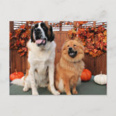 Mae - St Bernard en Cinny - Chow Foto-4 Briefkaart (Voorkant)