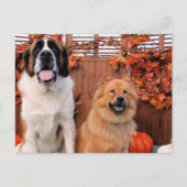 Mae St Bernard en Cinny Chow Photo-11 Briefkaart (Voorkant)