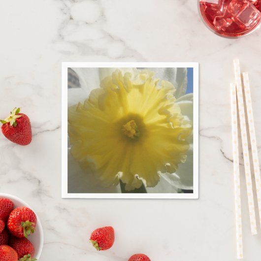 Maenad Servetten (Insitu)