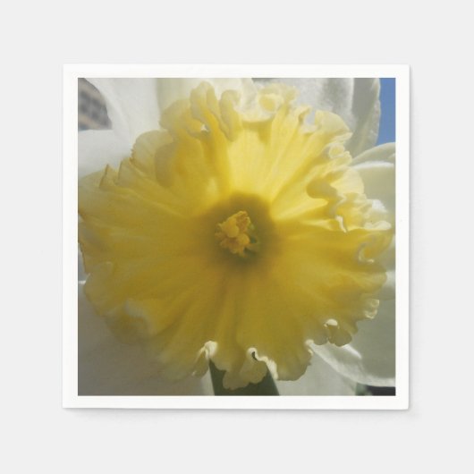 Maenad Servetten (Voorkant)