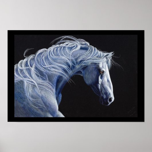 Maestoso Sonny Poster (Voorkant)