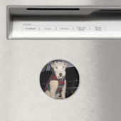 Maestro Groupie Magnet (Insitu (Vaatwasser))
