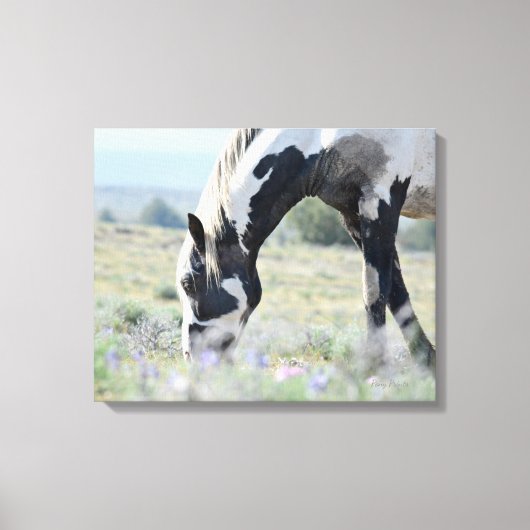 Maestro stretched canvas 20 x 16 (Voorkant)