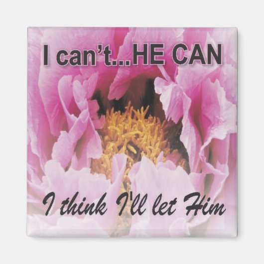 mag8hecan magneet (Voorkant)