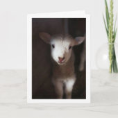 MAG DAN EEN BABY ZIJN, MAAR IK KAN WEL ZEGGEN **VR KAART (Voorkant)