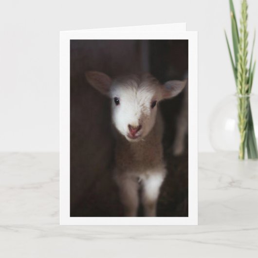 MAG DAN EEN BABY ZIJN, MAAR IK KAN WEL ZEGGEN **VR KAART (Voorkant)