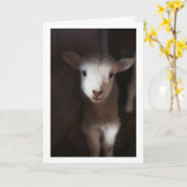 MAG DAN EEN BABY ZIJN, MAAR IK KAN WEL ZEGGEN **VR KAART (Gele Bloem)